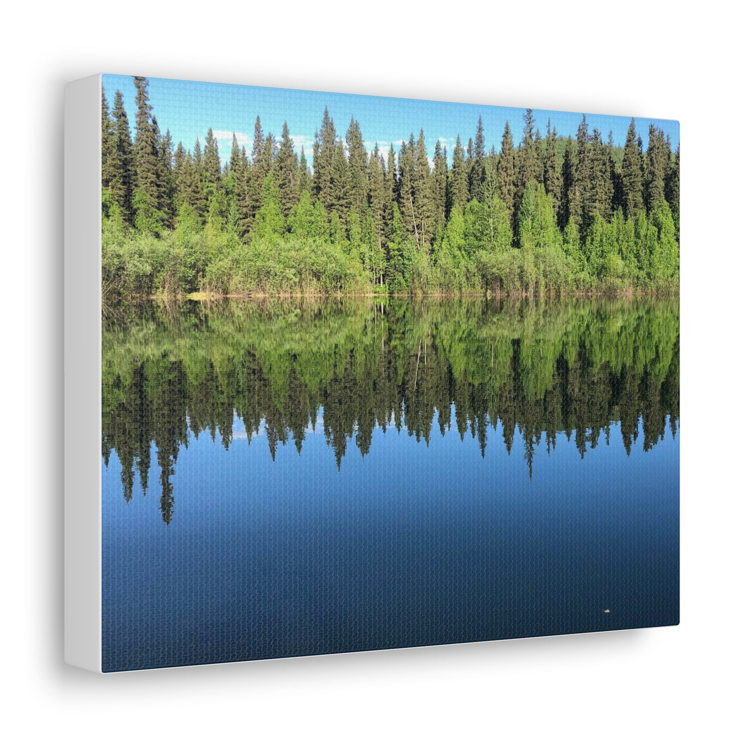 Canvas Gallery Wraps