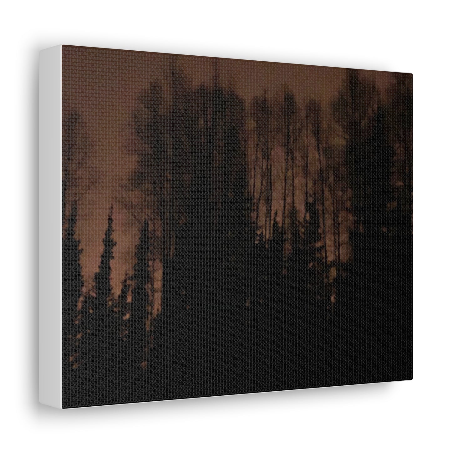 Canvas Gallery Wraps