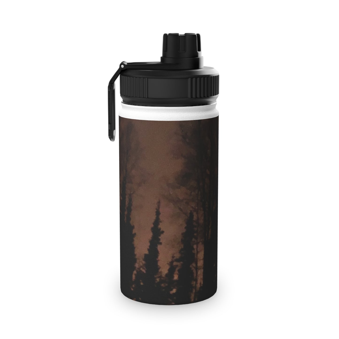 Stainless Steel Water Bottle, Sports Lid