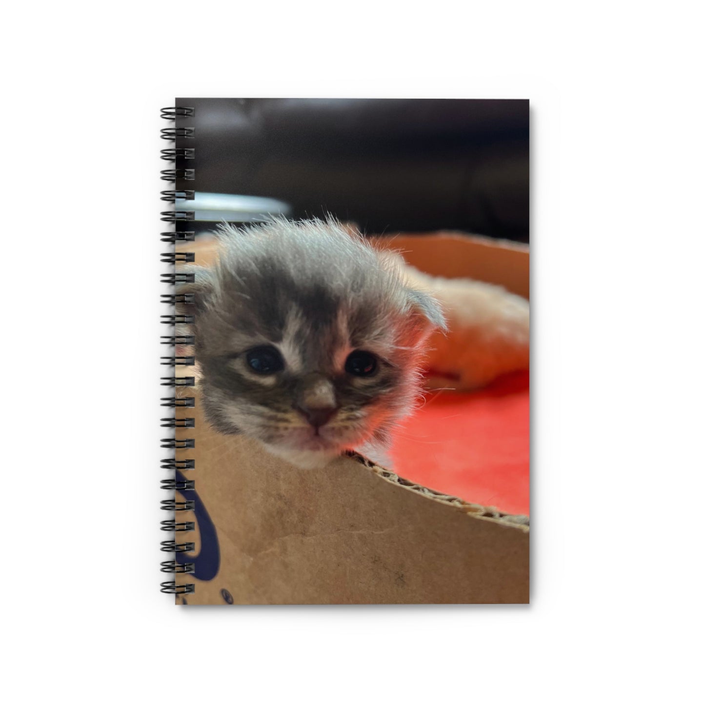 Spiral Notebook - Ruled Line