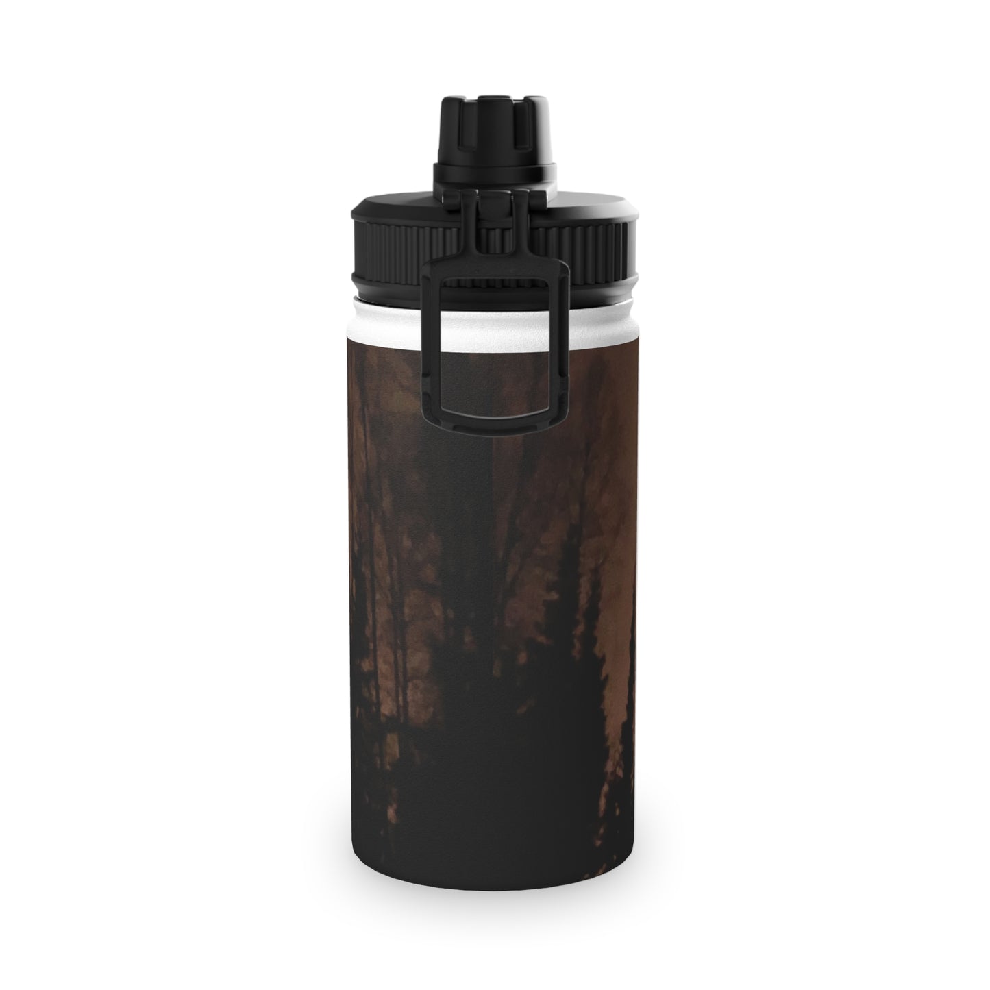 Stainless Steel Water Bottle, Sports Lid