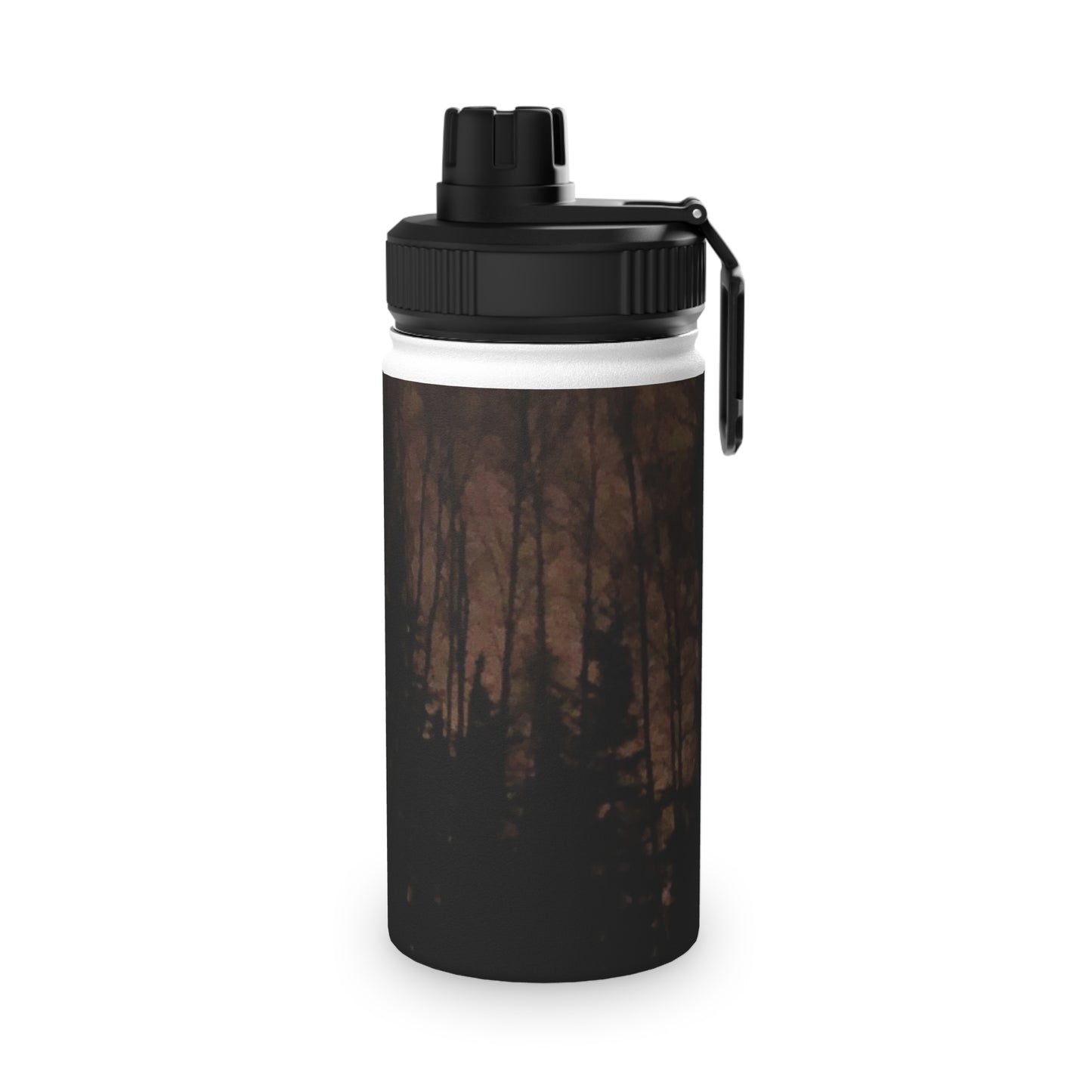 Stainless Steel Water Bottle, Sports Lid