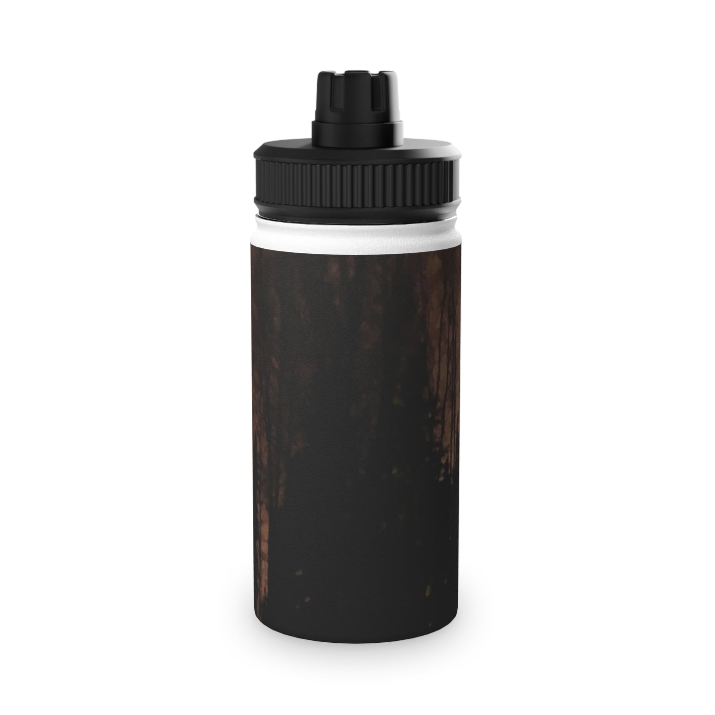 Stainless Steel Water Bottle, Sports Lid